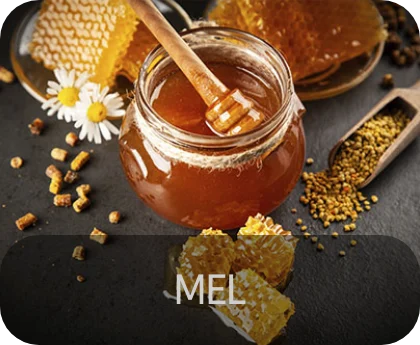 Safe Logistics Produtos mais exportados pelo Brasil - Mel